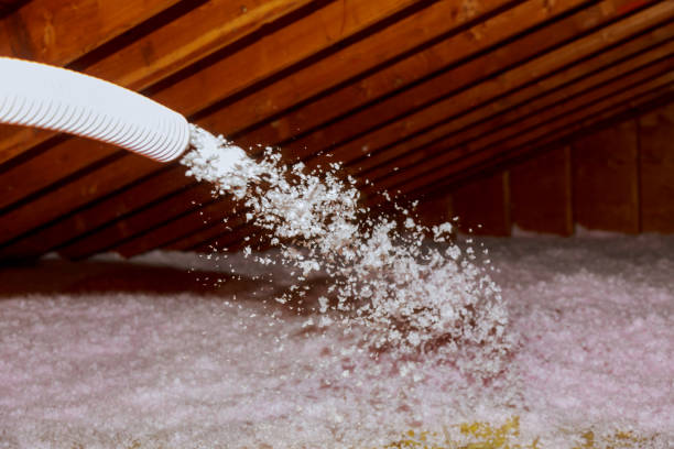 Best Cellulose Insulation in Grand Prairie, TX