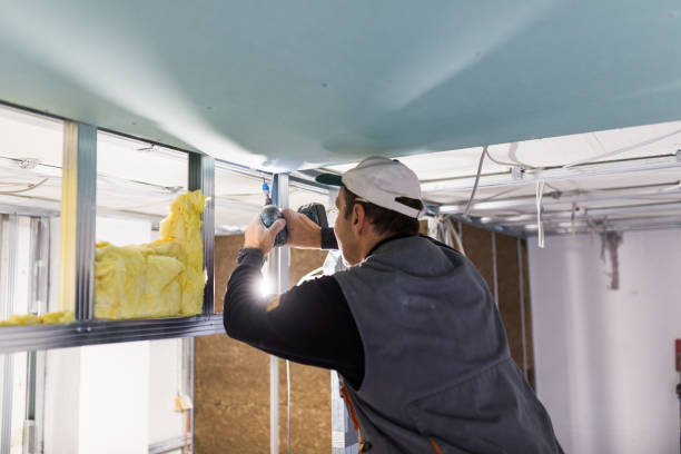 Best Specialized Insulation Services in Grand Prairie, TX